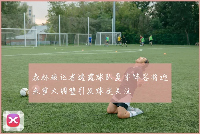 森林狼记者透露球队夏季阵容将迎来重大调整引发球迷关注